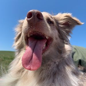 Meet your Posher, Audrey